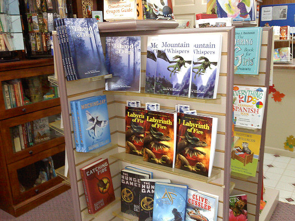 Book display at Books Never-Ending in Rossville