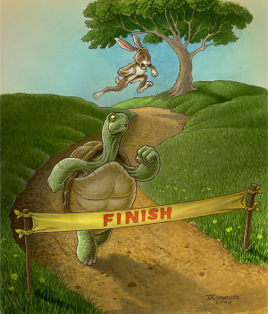 Tortoise and Hare Race